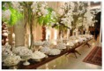 /album/galeria-de-fotos-casamento/bbbanner-310-jpg/